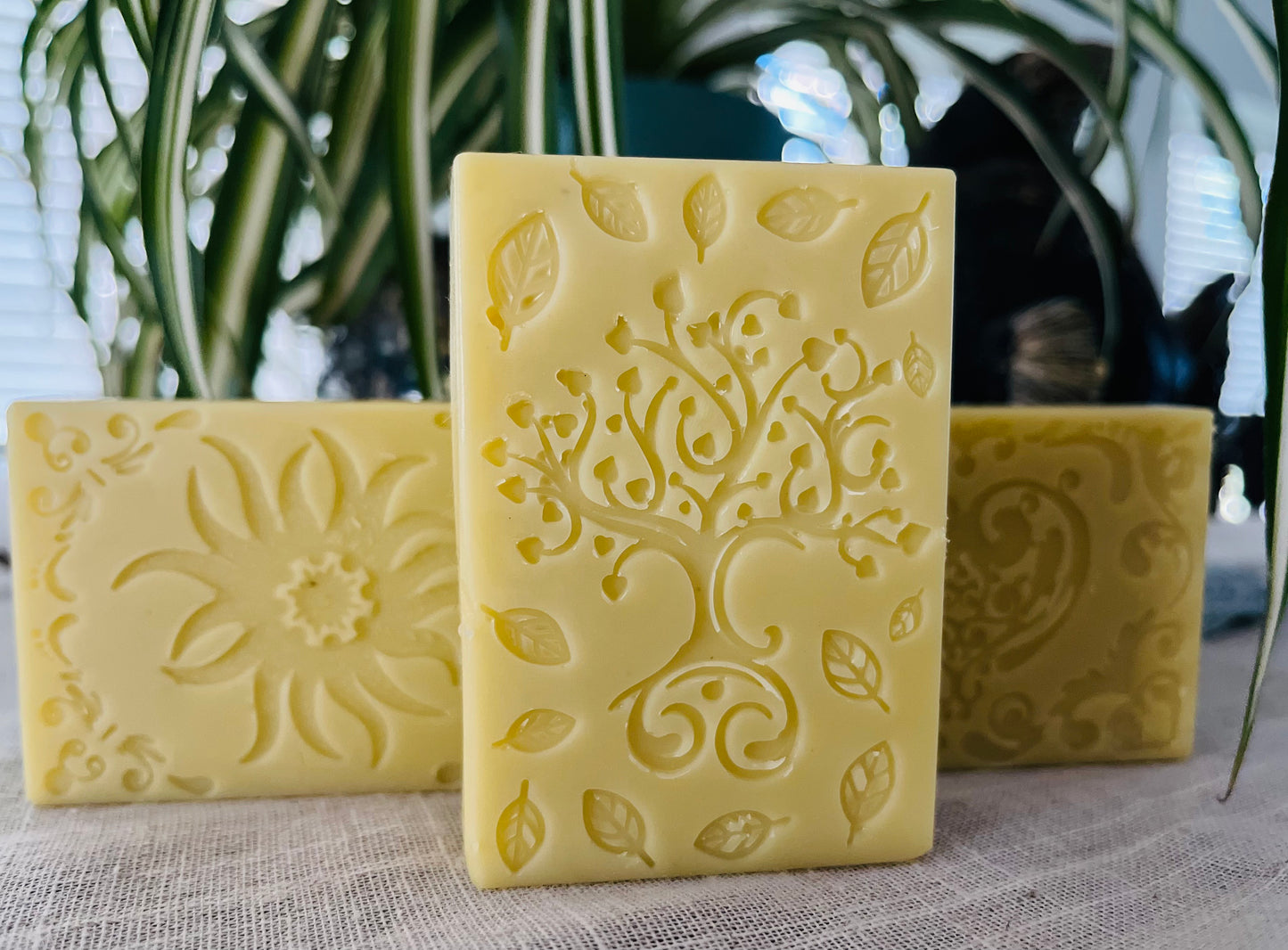 Quiet Pine Lotion Bar